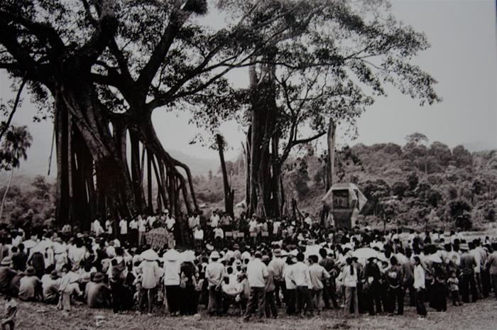 Cây đa Tân Trào Tuyên Quang