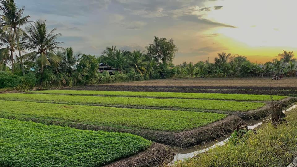 Không gian Nông Trại Tam Nông tại số 33, KP2, P. Thạnh Xuân, Q.12, TP. Hồ Chí Minh