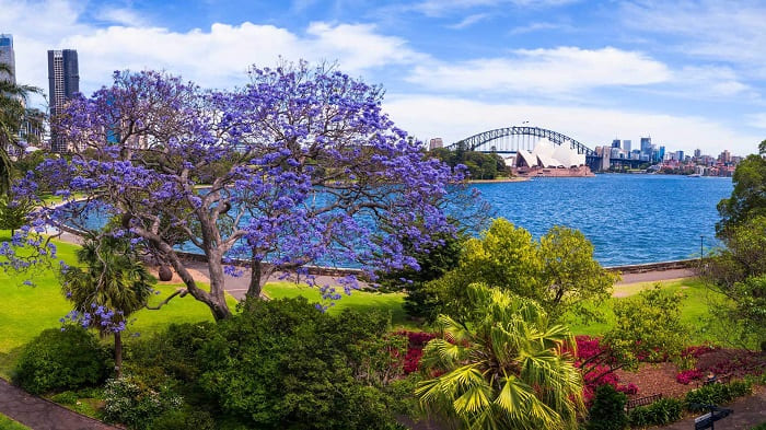 Lịch sử xây dựng Royal Botanic Garden Sydney