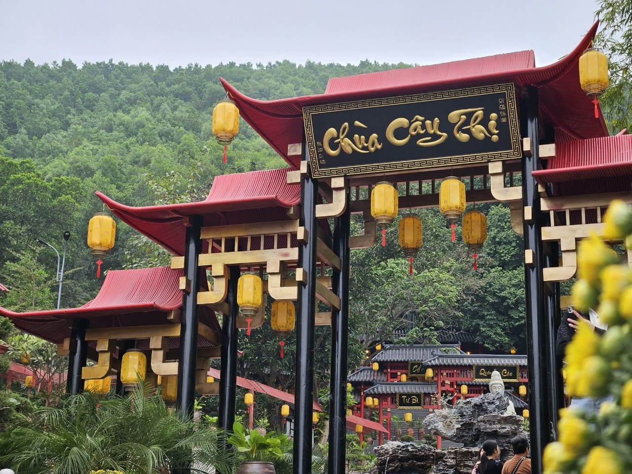 Chùa Cây Thị hay còn gọi là Tịnh Viện Di Đà, là một trong những ngôi chùa cổ nổi bật tại tỉnh Hà Nam