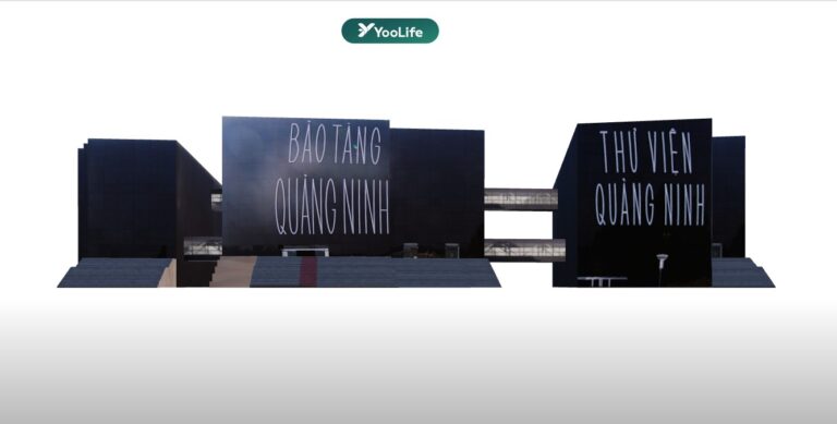 Giá trị học thuật & giáo dục của Bảo tàng Quảng Ninh