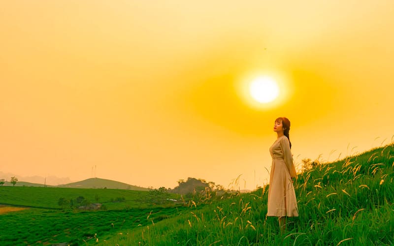 Trải Nghiệm Thảo Nguyên Xanh – Hành Trình Độc Đáo Ở Đồng Cỏ 68 Mộc Châu