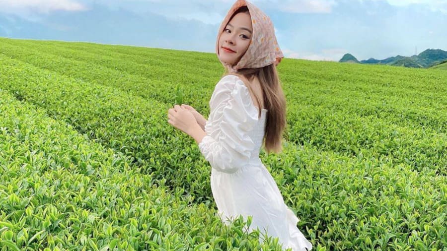 Đồi Chè Mộc Châu – Mỗi Mùa Một Nét Quyến Rũ