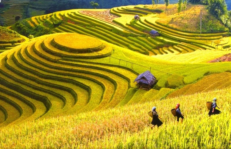 Bản Cát Cát có khoảng 80 hộ dân sinh sống, chủ yếu là người H’Mông.