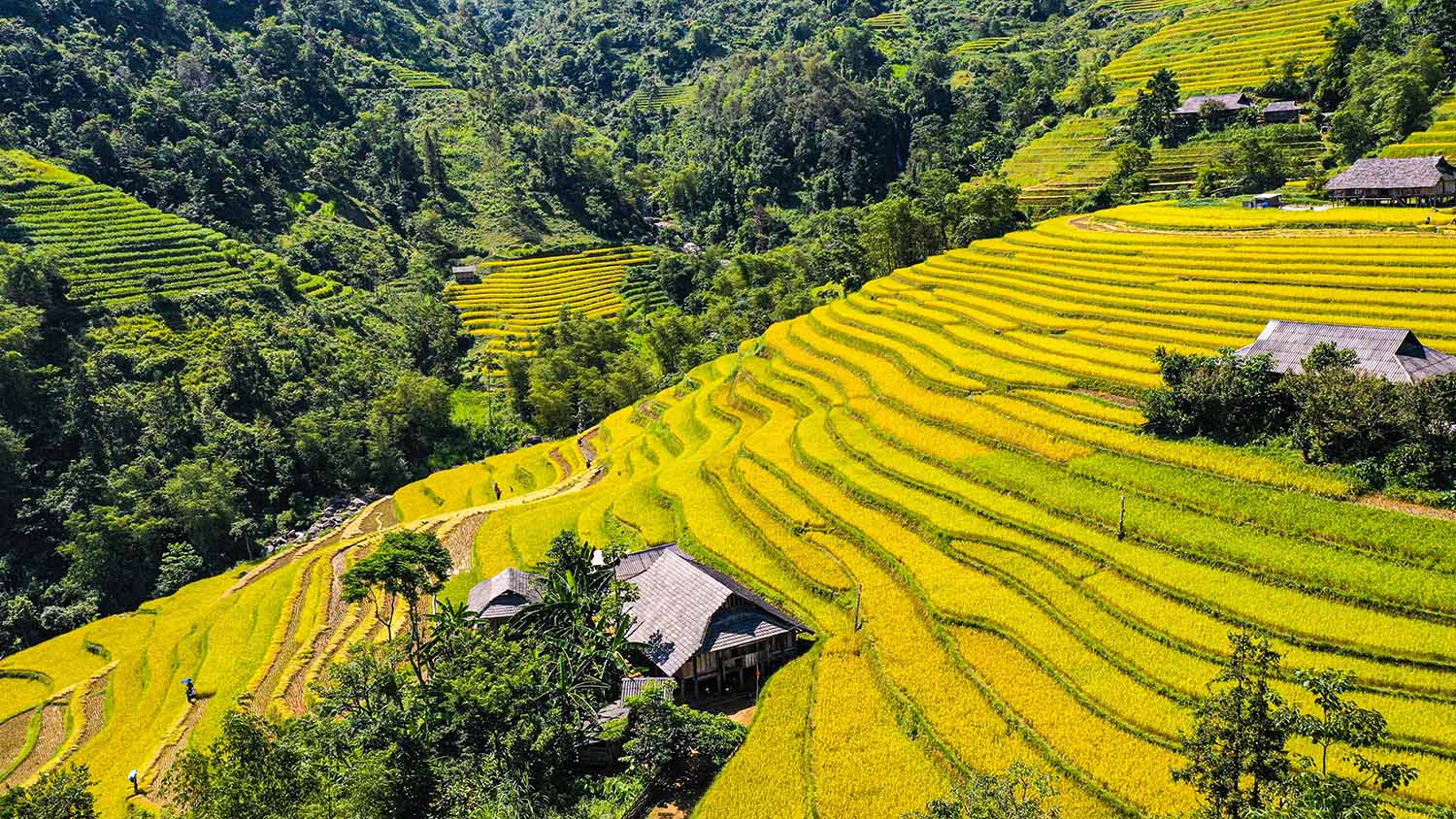 Tổng quan về Bản Luốc