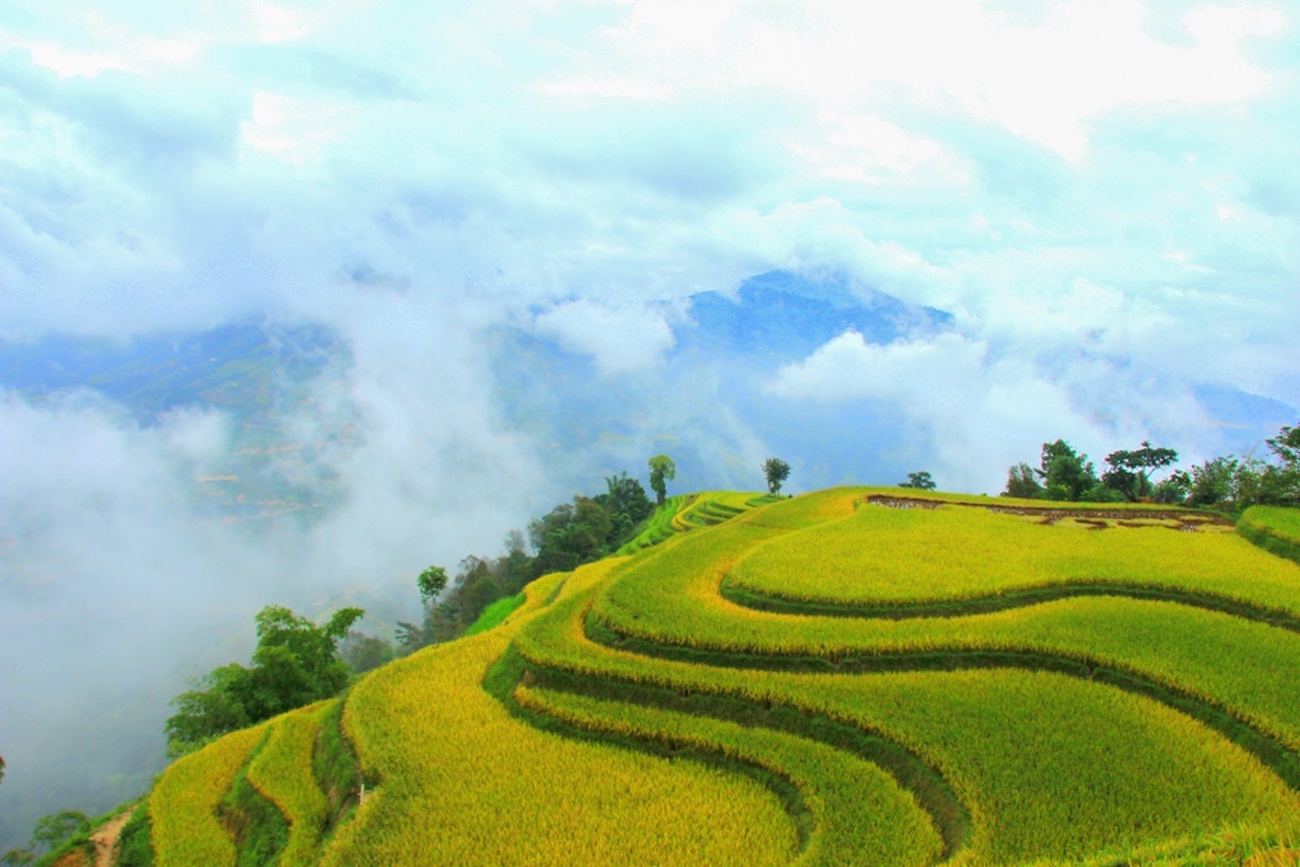 Bản Phùng – Điểm đến không thể bỏ lỡ tại Hoàng Su Phì