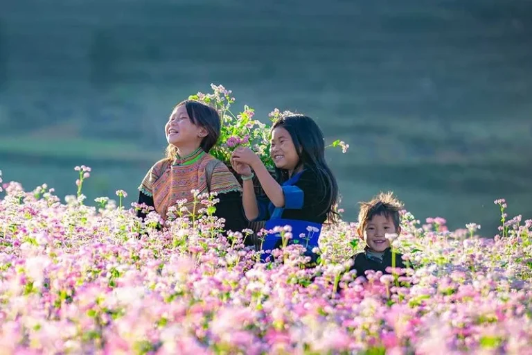 Hà Giang – Vẻ đẹp không thể bỏ lỡ