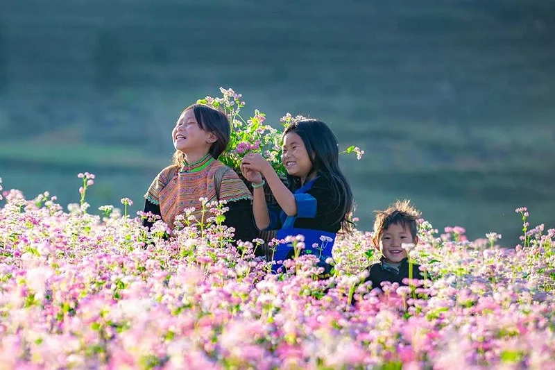 Hà Giang – Vẻ đẹp không thể bỏ lỡ