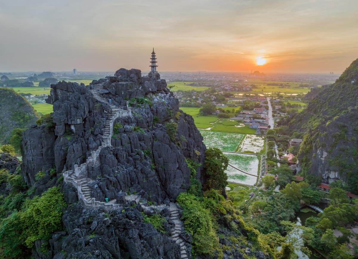 Từ đỉnh Hang Múa, bạn có thể chiêm ngưỡng cánh đồng Tam Cốc vàng óng ả, trải dài bất tận như tấm thảm thiên nhiên khổng lồ.