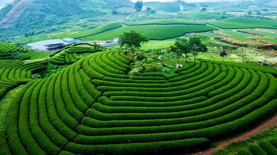Giới thiệu vị trí địa lý Mộc Châu - tỉnh Sơn La