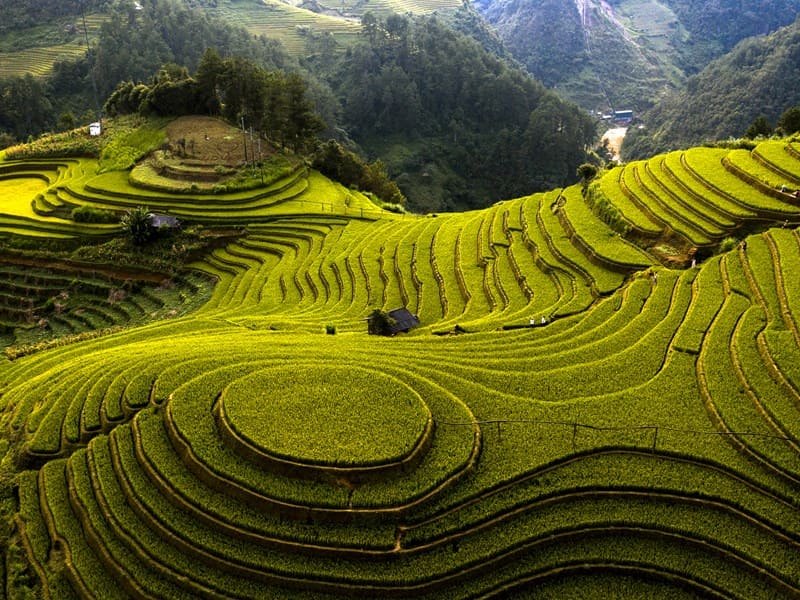 Vẻ đẹp bốn mùa của ruộng bậc thang Mù Cang Chải