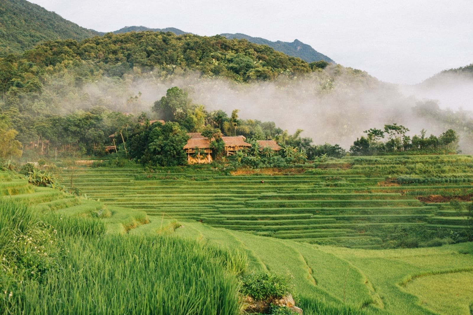 Khu Bảo tồn thiên nhiên Pù Luông được thiên nhiên ưu ái ban tặng cảnh quan hùng vĩ và hệ sinh thái đa dạng
