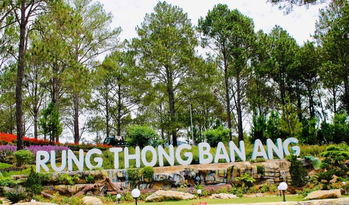 Chiêm ngưỡng & thưởng thức vườn dâu Chimi – “Đà Lạt thu nhỏ”