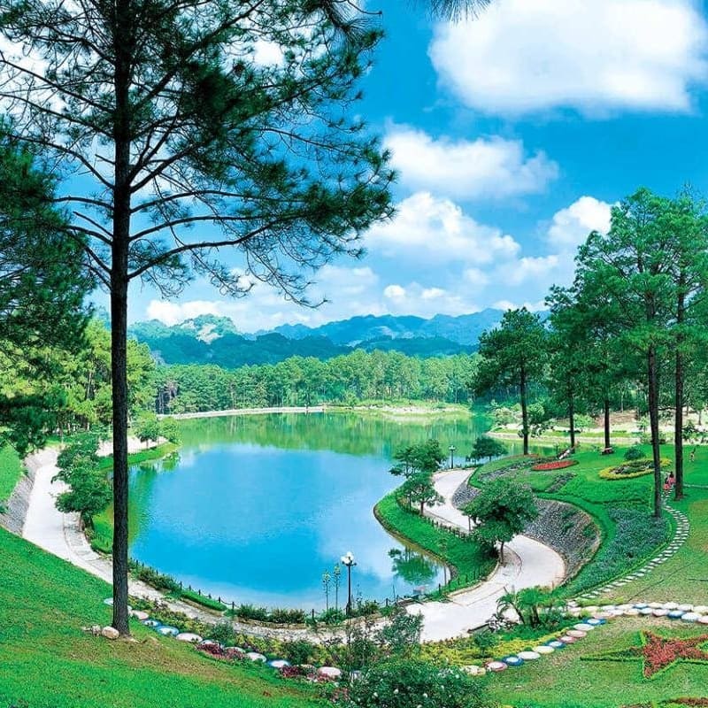 Tổng quan những thông tin cơ bản trong review rừng thông Bản Áng