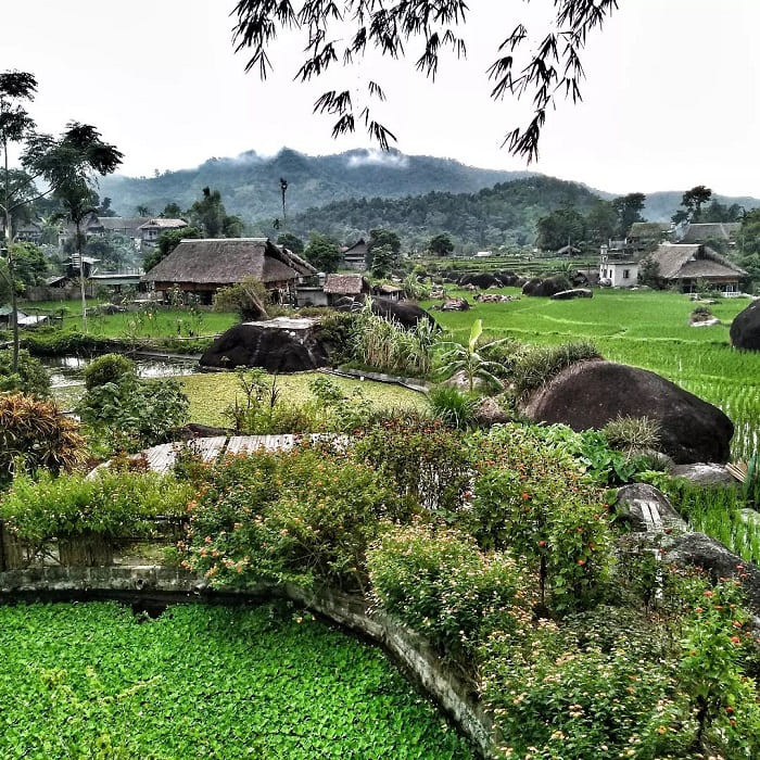 Những thửa ruộng uốn lượn quanh sườn núi như những dải lụa mềm mại, thay đổi sắc màu theo mùa