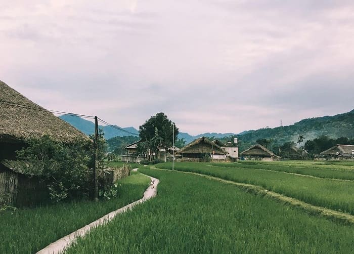 Thôn Tha thuộc xã Phương Độ, thành phố Hà Giang, chỉ cách trung tâm khoảng 3 – 5 km và cách cửa khẩu quốc tế Thanh Thủy tầm 5 km.