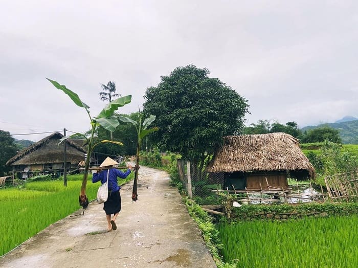 Không gian thiên nhiên trong lành, cảnh sắc nên thơ