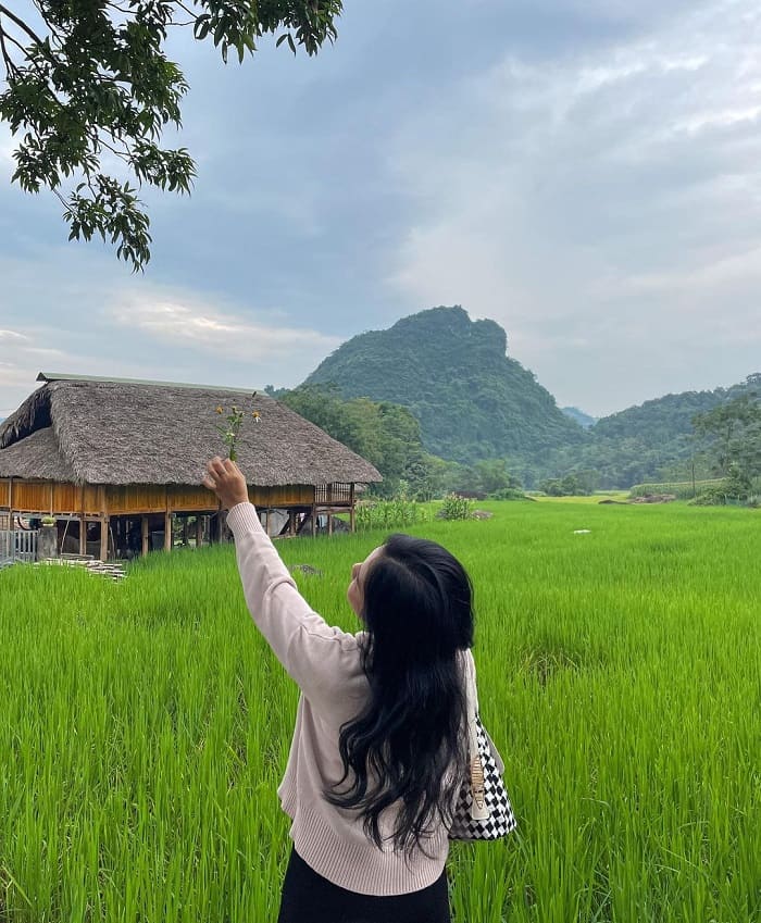 Bản sắc người Tày qua mái nhà sàn và nếp sống