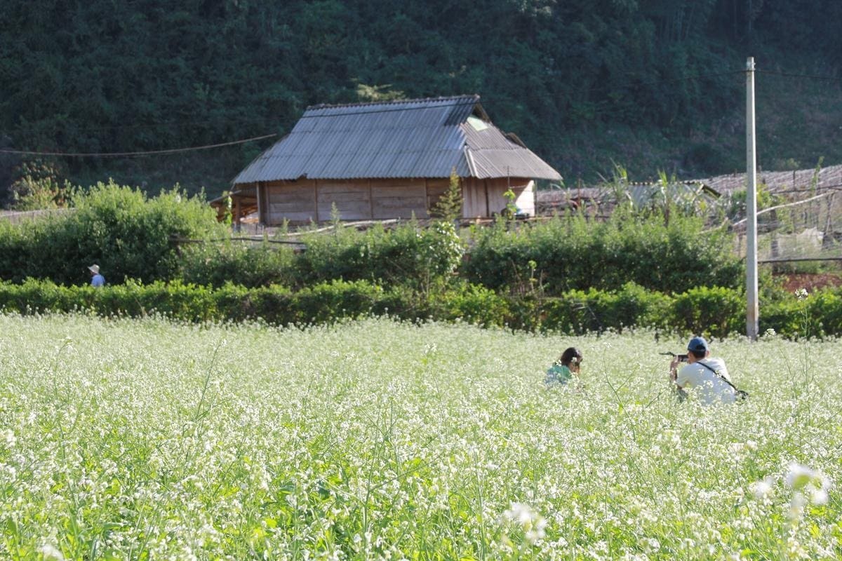 Khám phá vị trí và vẻ đẹp ẩn mình của bản Pa Phách