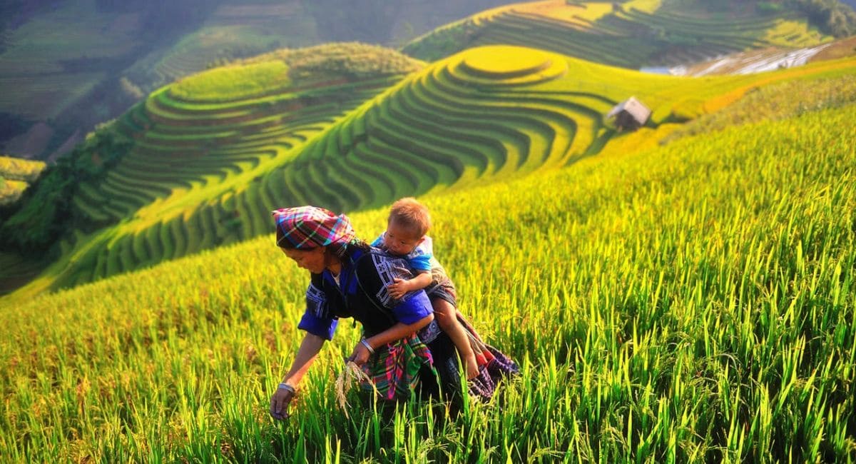 Yên Bái – Điểm hẹn thiên nhiên và văn hóa vùng Tây Bắc
