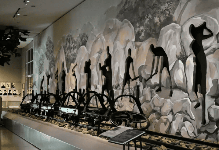 Các khu trưng bày nổi bật bảo tàng Côn Đảo