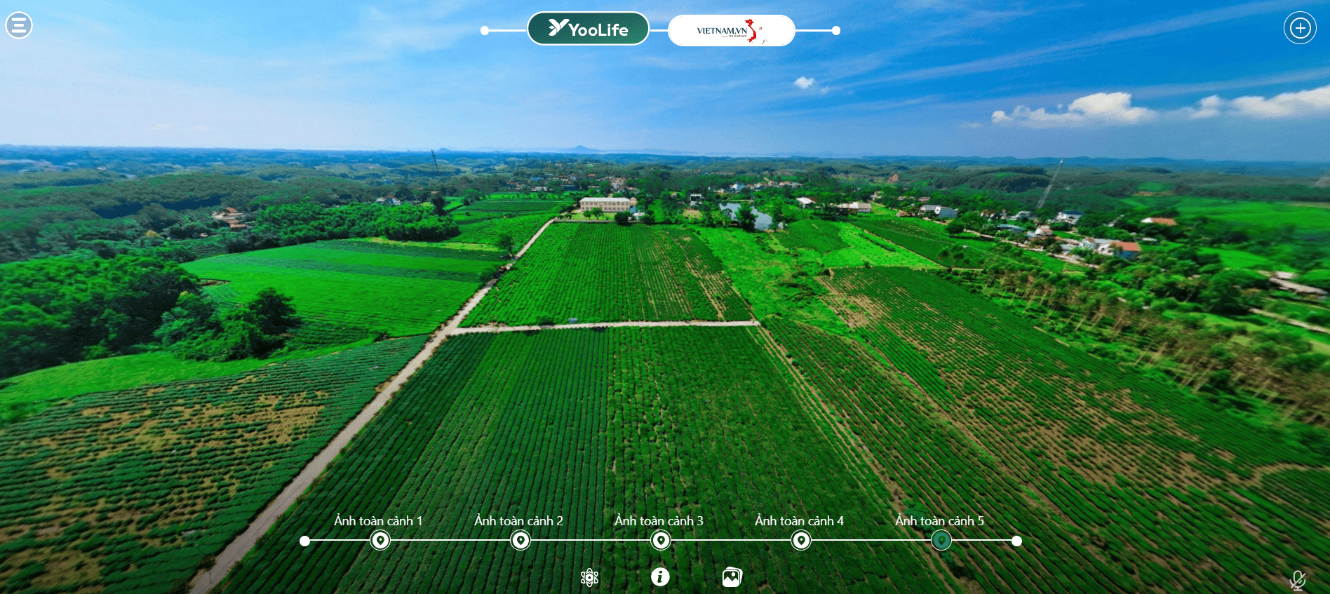 Khám phá khu chè đường Hoa trên không gian số YooLife