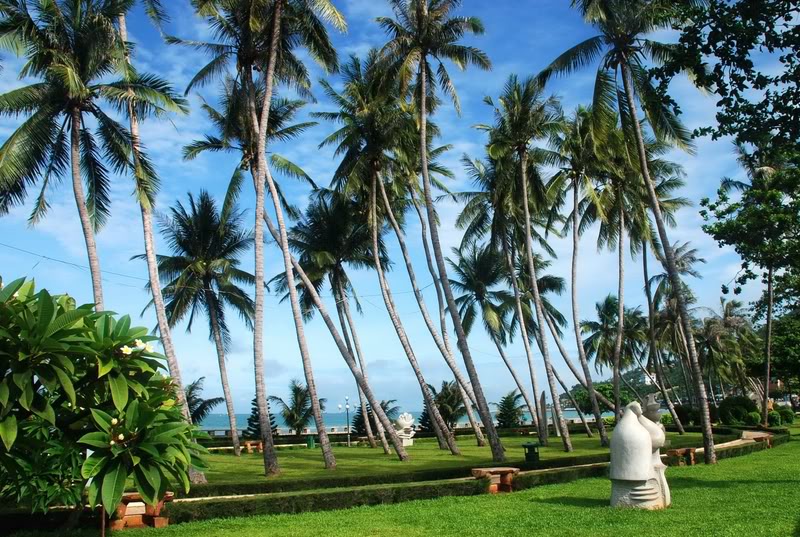 Không gian công viên Bãi Trước mang một vẻ đẹp rất riêng