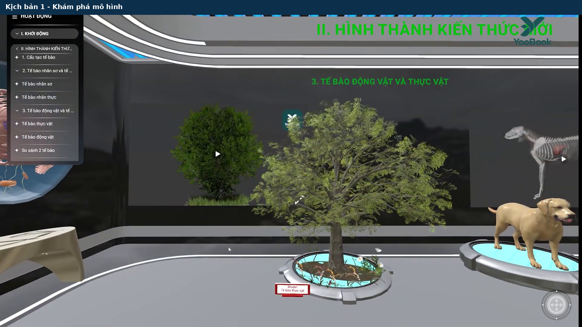 Frame video hướng dẫn điều hướng nội dung bài giảng 3D XR YooBook