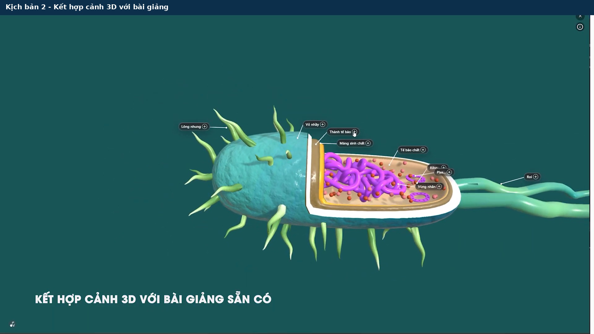 Frame video minh họa nội dung trực quan trong bài giảng YooBook